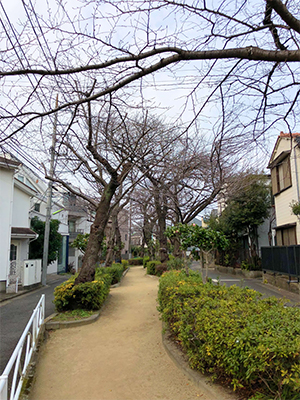 閑静な緑道沿いにあり、緑道は緑が丘駅から自由が丘駅へと続きます。
